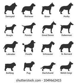 Dogs breed. Monochrome icons set. Dog side view, simple symbols collection