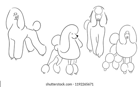 Poodle Grooming Chart