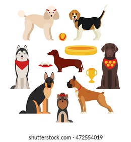 Dogs breed set with beagle husky terrier boxer poodle isolated vector illustration.