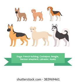 Dogs breed set, french bulldog cockapoo beagle german shepherd labrador husky. Kids vector illustration, pattern. Comic cartoon characters. Beige, orange, brown, black and white Pets. Pedigree dogs.