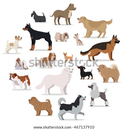 Dogs breed set isolated on white. Collection of big and small puppies. Different types of dogs. Exhibition of popular dog canine species. Pedigreed animals in cartoon style. Vector illustration