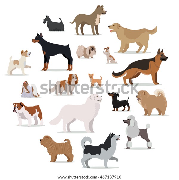 白い背景に犬が繁殖する 大きい子犬と小さい子犬のコレクション 違う種類の犬 人気の犬の犬種の展示 動物のペディグレードを漫画風に ベクターイラスト のベクター画像素材 ロイヤリティフリー