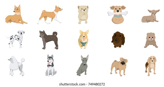 Dogs breed set. Poodle and bulldog, dalmatian and terrier and more.