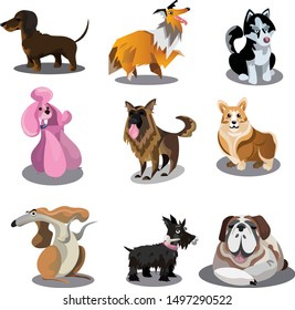 Dogs breed set. Raster illustration in flat cartoon style