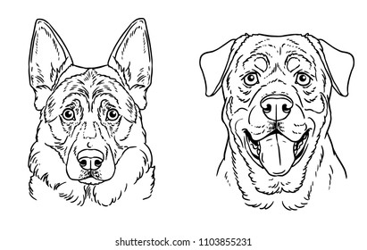 Dogs breed tattoo