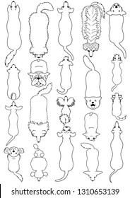 dogs breed top view line art set