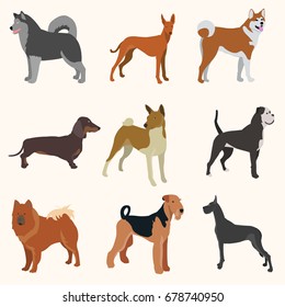 Dogs breed vector set.