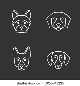 Dogs breeds chalk icons set. Yorkshire Terrier, Labrador Retriever, German Shepherd, dachshund. Isolated vector chalkboard illustrations