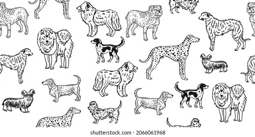 Dogs breeds collection. Vintage style seamless pattern for your design