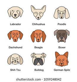 Dogs breeds color icons set. Chihuahua, poodle, beagle, boxer, German Spitz, English Bulldog, dachshund, Labrador Retriever, Shih Tzu. Isolated vector illustrations