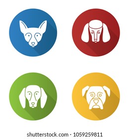 Dogs breeds flat design long shadow glyph icons set. Chihuahua, poodle, beagle, boxer. Vector silhouette illustration