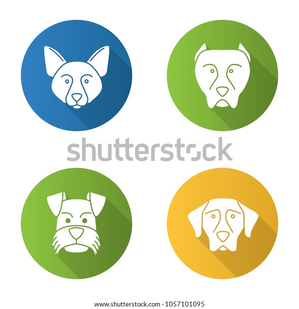 Dogs Breeds Flat Design Long Shadow Stock Vector Royalty Free