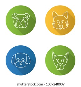 Dogs breeds flat linear long shadow icons set. English bulldog, German Spitz, Maltese, Doberman Pinscher. Vector outline illustration