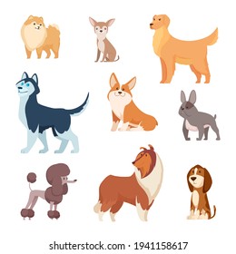 Dogs breeds. Funny true and faithful animals playing in various poses cartoon puffy puppy poodle bulldog dachshund exact vector illustrations collection