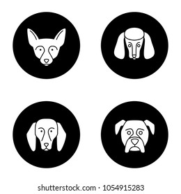 Dogs breeds glyph icons set. Chihuahua, poodle, beagle, boxer. Vector white silhouettes illustrations in black circles