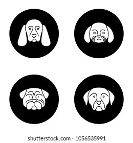 Dogs breeds glyph icons set. Cocker Spaniel, Shih Tzu, pug, Rottweiler. Vector white silhouettes illustrations in black circles