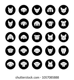Dogs breeds glyph icons set. Guide, guardian, hunting, herding dogs. Vector white silhouettes illustrations in black circles