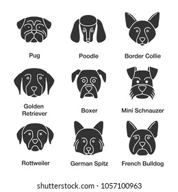 Dogs breeds glyph icons set. Pug, poodle, Border Collie, Golden Retriever, boxer, Miniature Schnauzer, Rottweiler, German Spitz, French Bulldog. Silhouette symbols. Vector isolated illustratio