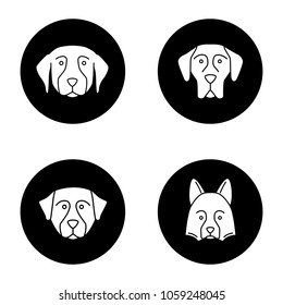 Dogs breeds glyph icons set. Golden Retriever, Great Dane, Bernese Mountain Dog, Shetland Sheepdog. Vector white silhouettes illustrations in black circles