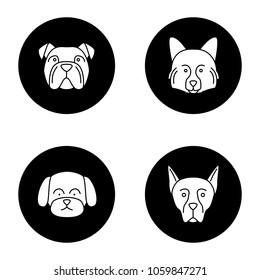 Dogs breeds glyph icons set. English bulldog, German Spitz, Maltese, Doberman Pinscher. Vector white silhouettes illustrations in black circles