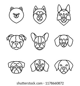 Dogs breeds linear icon set. Pomeranian spitz, Pug, Husky, Dachshund, Beagle, German Shepherd, Labrador, French, English bulldog. Isolated vector line dog heads