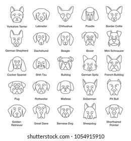 Dogs breeds linear icons set. Guide, guardian, hunting, herding dogs. Thin line contour symbols. Isolated vector outline illustrations. Editable stroke