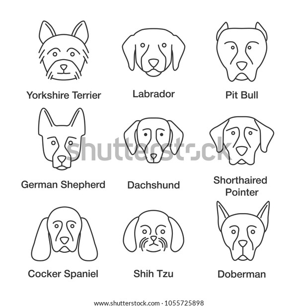 Dogs Breeds Linear Icons Set Thin Stock Vector Royalty Free