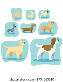 A Dogs breeds pack collection, flat design illustrations with bright colors
