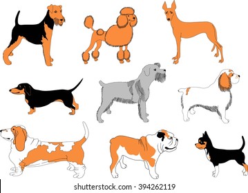 Dogs breeds - recognizable silhouettes of small dogs of most popular breeds.