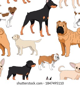 Dogs breeds seamless background. Vector illustration.