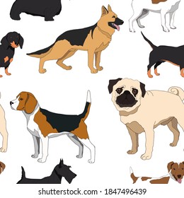 Dogs breeds seamless background. Vector illustration.