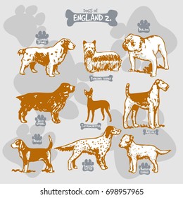 Dogs breeds of the world vector draw and shilouette on isolated illustration by countries with names, England 2