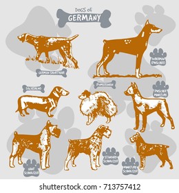 Dogs breeds of the world vector draw and shilouette on isolated illustration by countries with names, Germany set 2