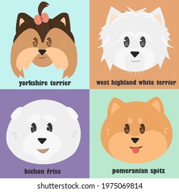 Dogs breeds, yorkshire terrier, west highland white terrier, pomeranian spitz, bichon frise, set dogs