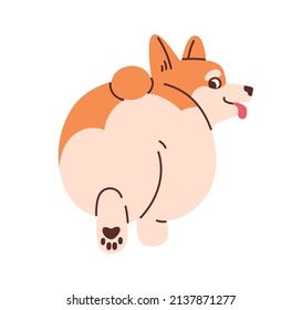 Perro trasero. Un cachorro de Corgi que se va, vista trasera. Un animal gracioso con un trasero gordo. Divertido cómico con encantadoras nalgas. Ilustración vectorial gráfica plana aislada en fondo blanco