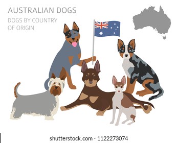 Dogs by country of origin. Australian dog breeds, New Zealand dogs. Infographic template. Vector illustration svg