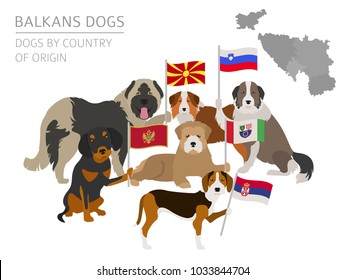 Dogs by country of origin. Balkans dog breeds: Macedonian, Bosnian, Montenegrin, Serbian, Slovenian. Infographic template. Vector illustration