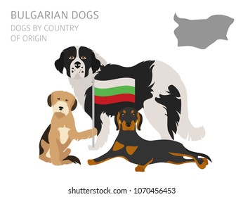 Dogs by country of origin. Bulgarian dog breeds. Infographic template. Vector illustration