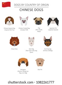 Dogs by country of origin. Chinese dog breeds. Infographic template. Vector illustration