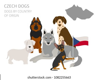 Dogs by country of origin. Czech dog breeds. Infographic template. Vector illustration