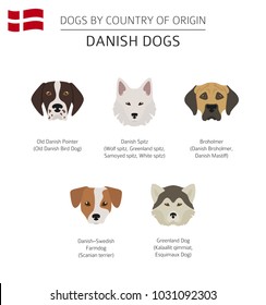 Dogs by country of origin. Danish dog breeds. Infographic template. Vector illustration