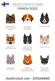 Dogs by country of origin. Finnish dog breeds. Infographic template. Vector illustration