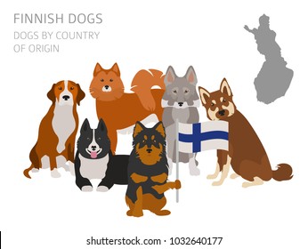 Dogs by country of origin. Finnish dog breeds. Infographic template. Vector illustration