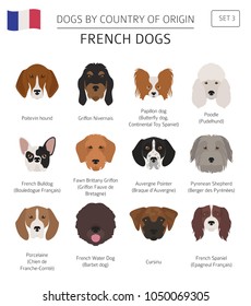 Dogs by country of origin. French dog breeds. Infographic template. Vector illustration