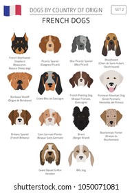 Dogs by country of origin. French dog breeds. Infographic template. Vector illustration