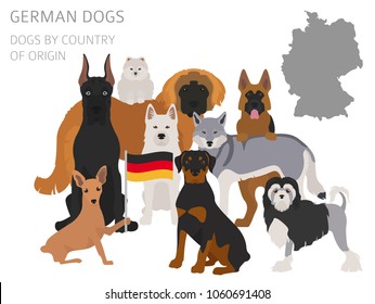 Dogs by country of origin. German dog breeds. Infographic template. Vector illustration