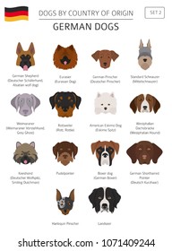 Dogs by country of origin. German dog breeds. Infographic template. Vector illustration