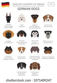 Dogs by country of origin. German dog breeds. Infographic template. Vector illustration