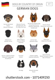 Dogs by country of origin. German dog breeds. Infographic template. Vector illustration