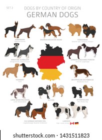 Dogs by country of origin. German dog breeds. Shepherds, hunting, herding, toy, working and service dogs  set.  Vector illustration